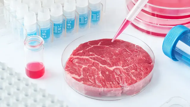 Are Lab-Grown Meat Alternatives the Future of Sustainable Biodiversity.webp