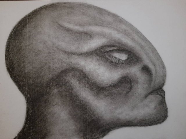 20250710_113230.jpg