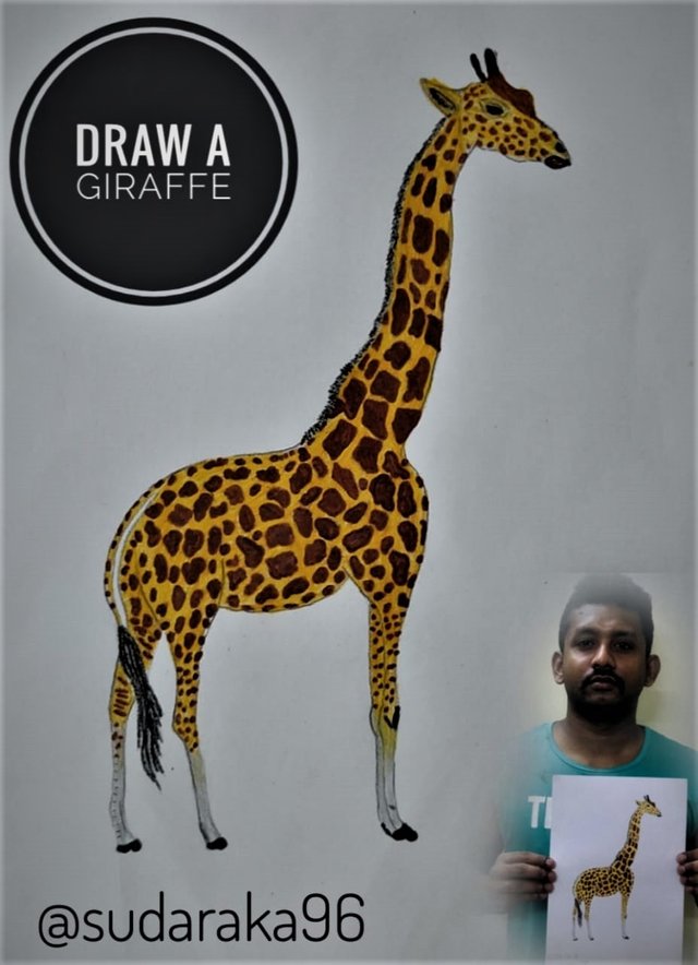 WhatsApp Image 2023-08-16 at 21.47.13 (2).jpg