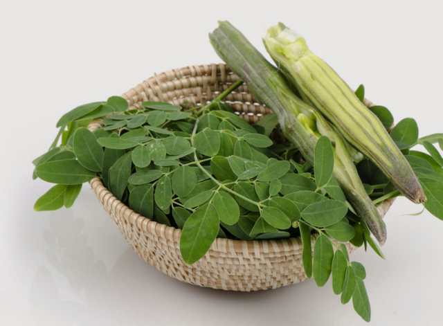 moringa.png