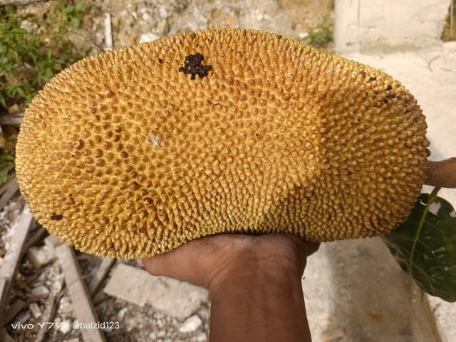 1000063583.jpg