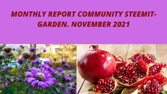 MONTHLY REPORT COMMUNITY STEEMIT-GARDEN. NOVEMBER 2021.jpg