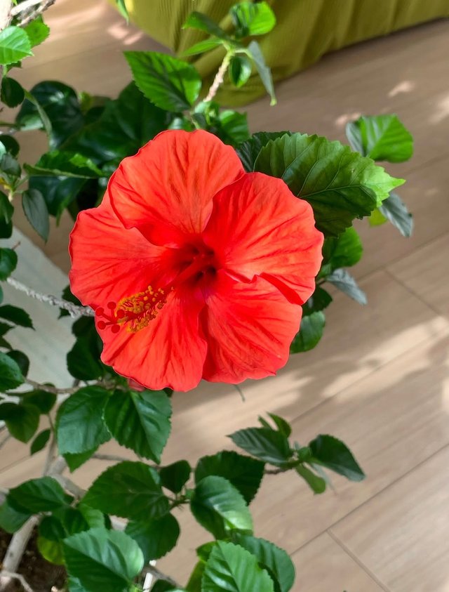 IMG_20250627_095636.jpg