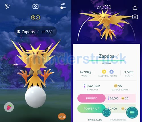 Should you purify Shadow Zapdos in Pokemon GO?