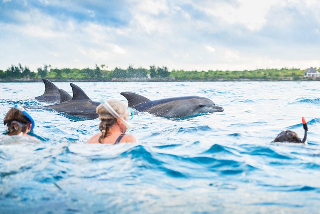 Top 10 Zanzibar Beach Safari Adventures at Nungwi and Kendwa Beaches.jpg