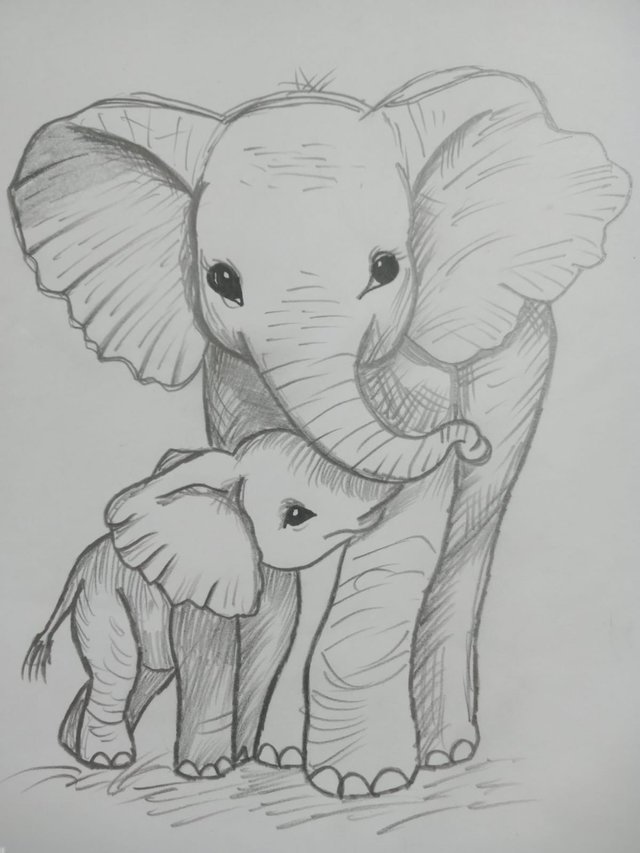 Elephant (7).jpg