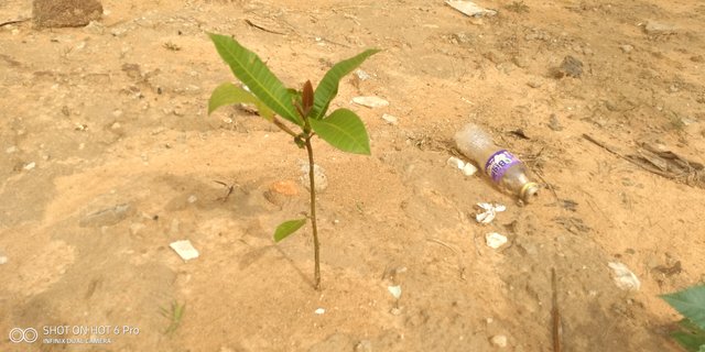 IMG_20220918_151849.jpg