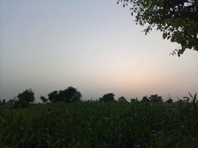 IMG_20250605_185819_030.jpg