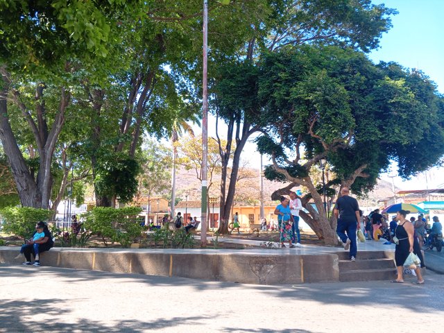 IMG_20250416_092718_064.jpg