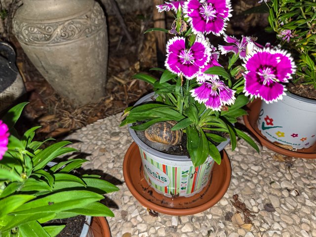 20251003_001936.jpg