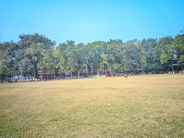 1000028786.jpg
