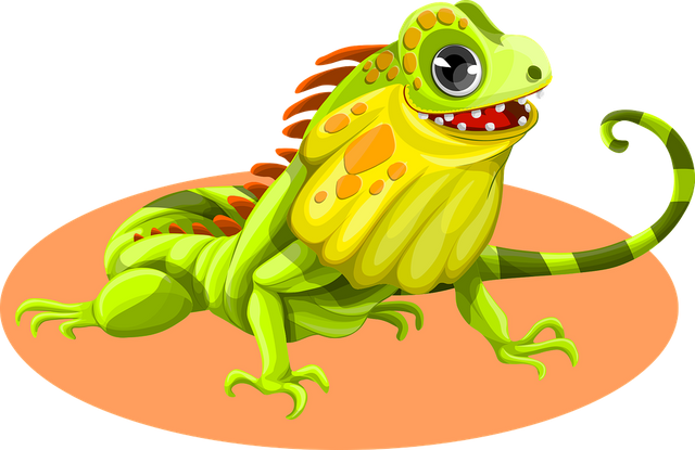 iguana-1459316_960_720.png