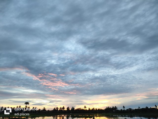 IMG20250710062210.jpg