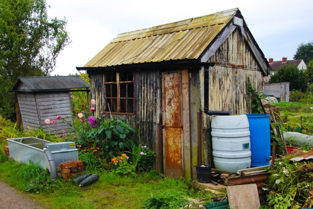 allotment shed.JPG