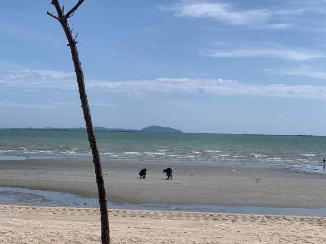 Bang Saen Beach3.jpg