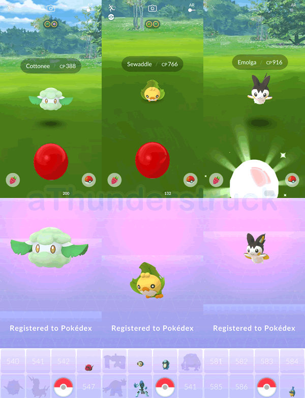 Unova Week Recap - Shiny Genesect, Shiny Roggenrola & new Unova Pokémon  added — Steemit