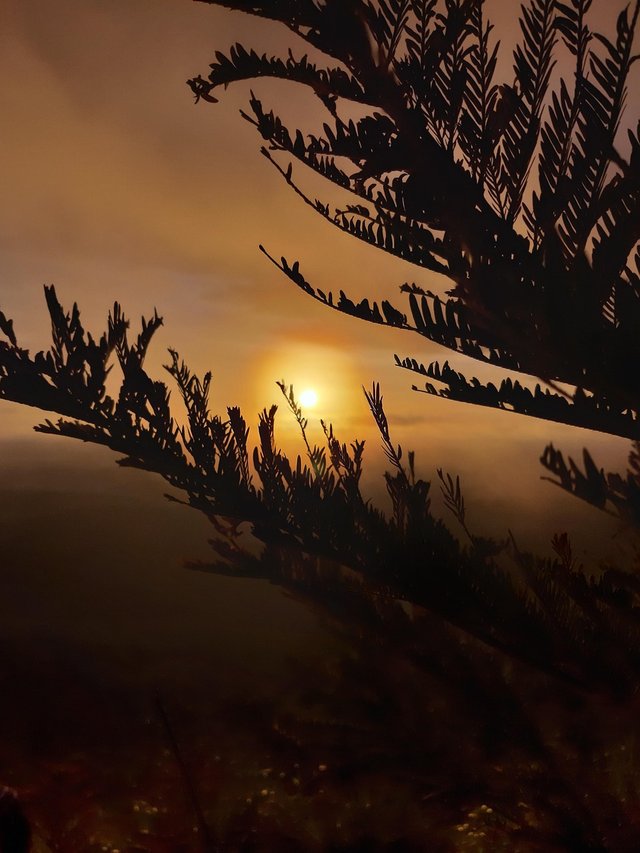 sun-4407247_1280.jpg