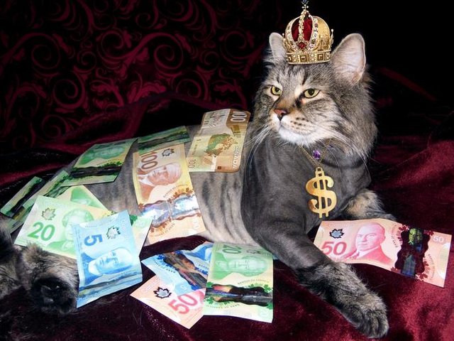 money_cat_wealth_canadian.jpg