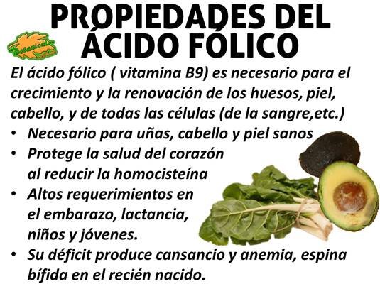 propiedades-acido-folico...jpg