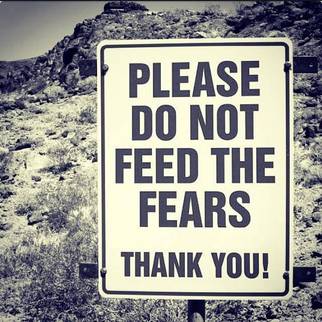 Please do not feed the fears.jpg