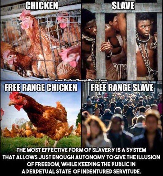 Free Range Slavery.jpg