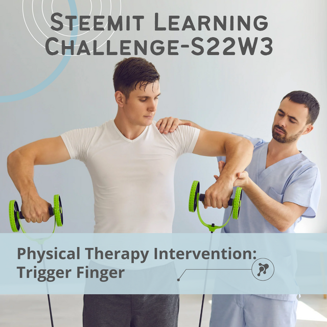 Light blue Modern Physical Therapist Instagram Post_20241229_221545_0000.png