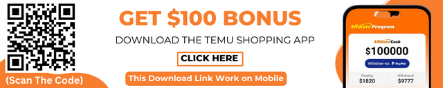 Temu $100 Bundle image.png