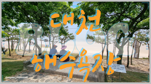 대천해수욕장 나만의트래블.png