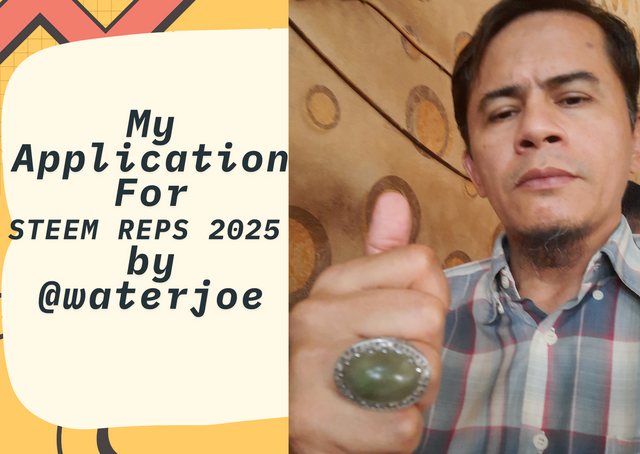 My Application For Steem Representative 2025 by @waterjoe.png