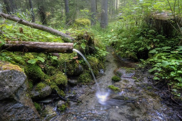 stream-8317169_1280.jpg