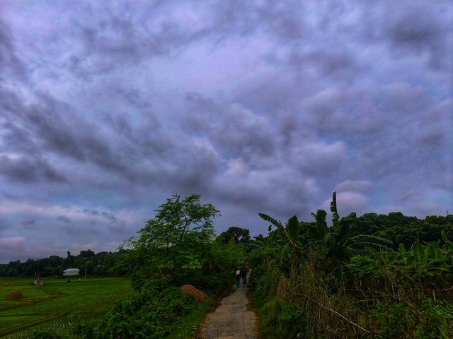 IMG_20250710_175437.