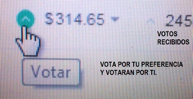 Votar.jpg