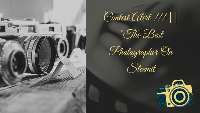 Contest Alert !!!  The Best Photographer On Steemit.png