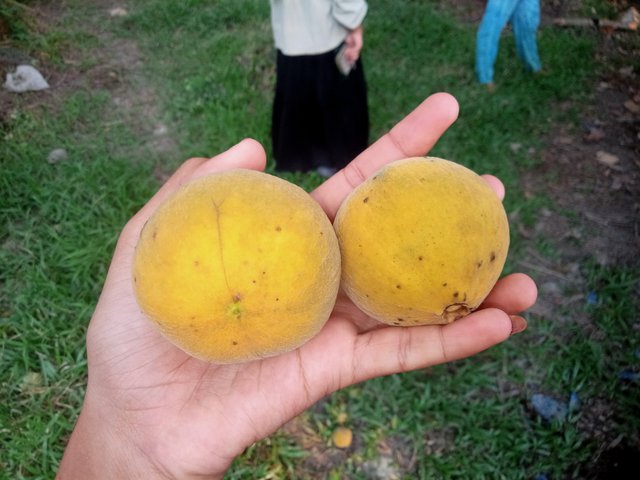 IMG20250724181116.jpg