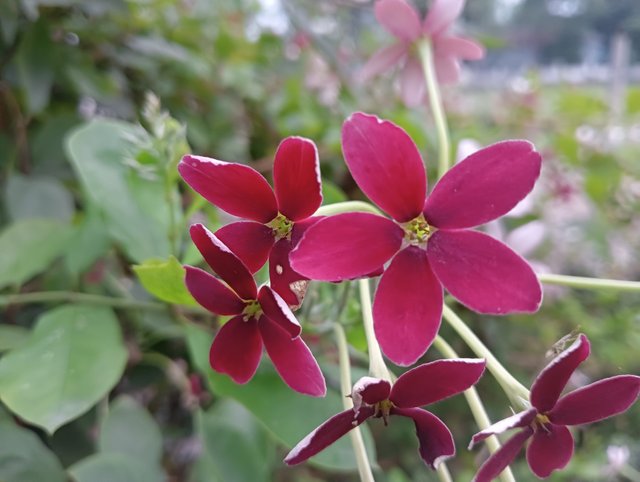 IMG20250519181517.jpg
