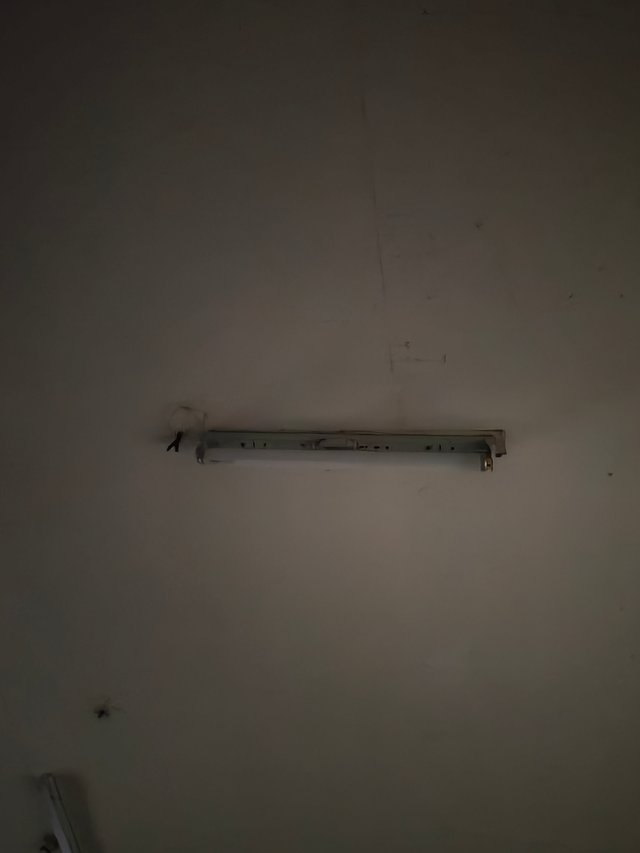 1000010202.jpg