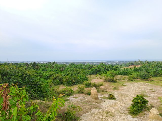 1000355571.jpg