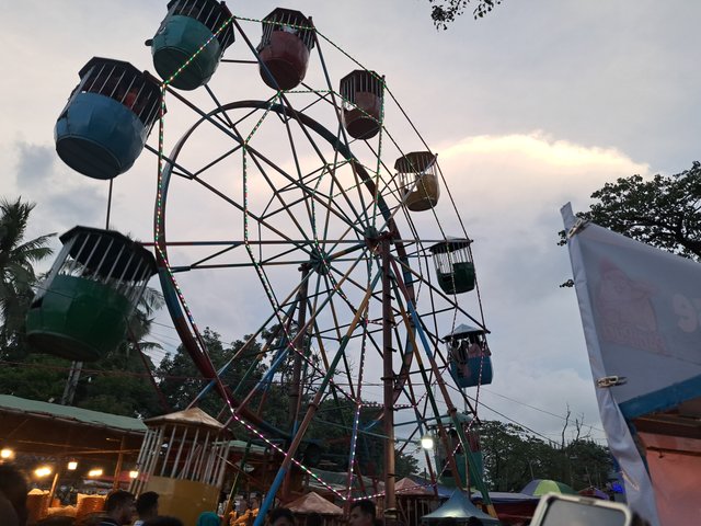 1000061329.jpg