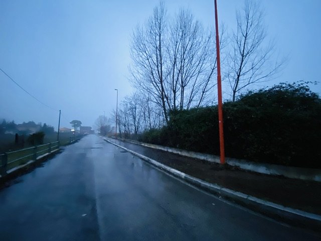 IMG_1669.jpeg