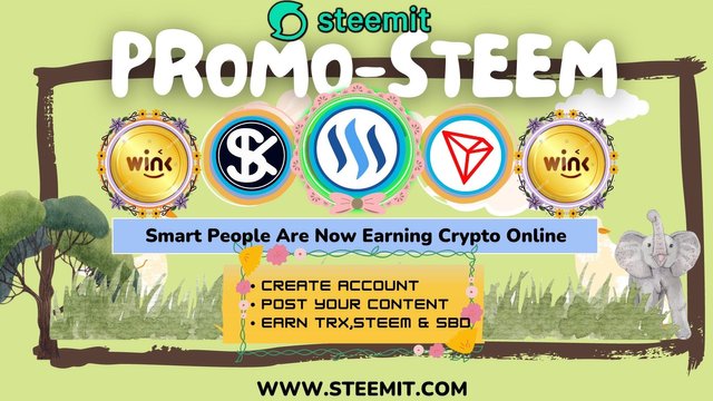 PROMO-STEEM (4).jpg