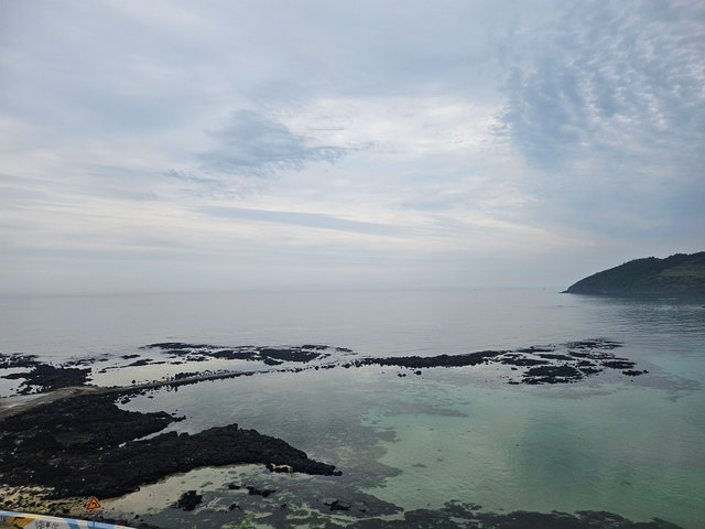 20250607_100703.jpg