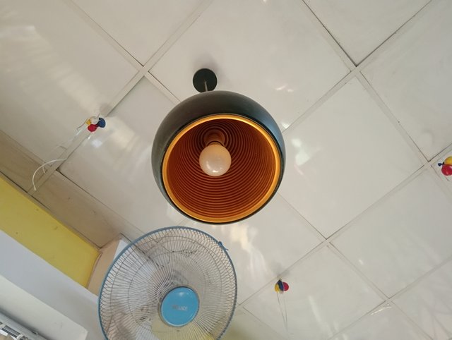1000047036.jpg