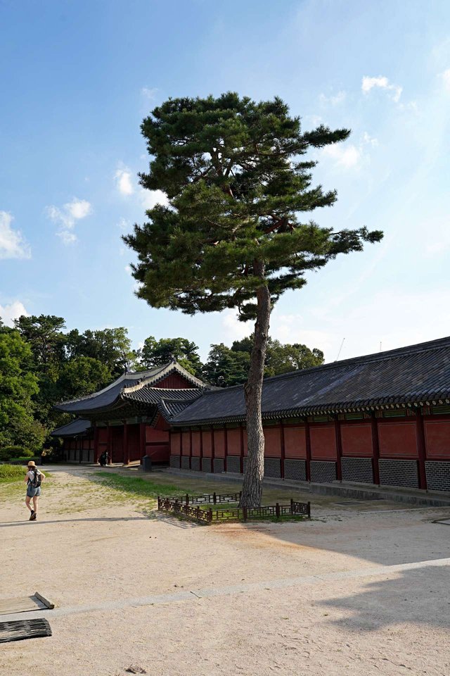 b-DSC00719.JPG