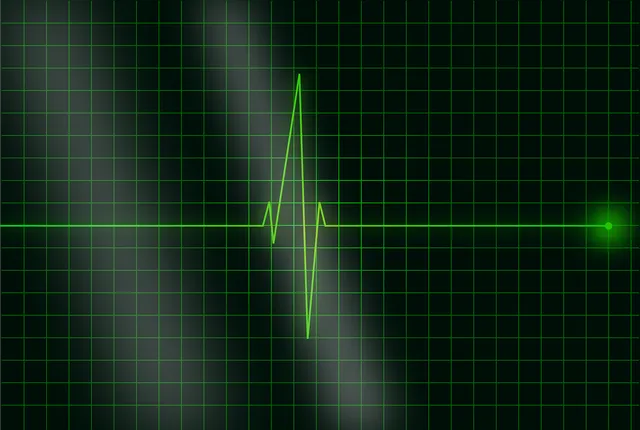 electrocardiogram-36732_1280.webp