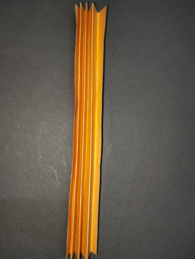 IMG20250720171712.jpg