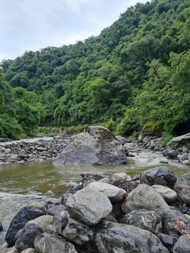 free-photo-of-pegunungan-alam-batu-hutan.jpeg