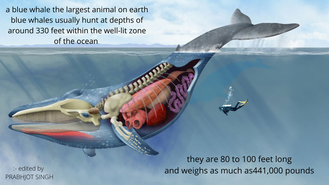 if he took the highest point on land and submerged it you would still have more than a mile between you in the deepest point in the oceans (1).png