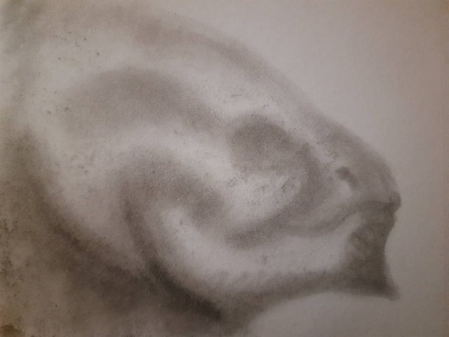20250521_104753.jpg