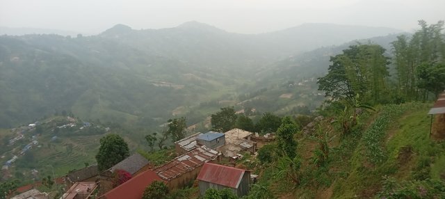 20250612_131230.jpg
