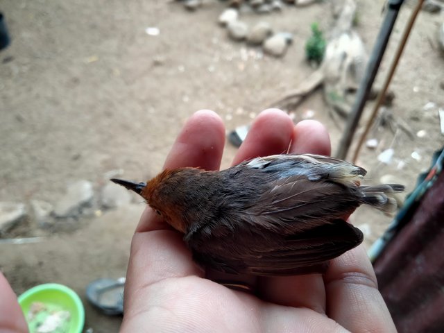 IMG20250912133241.jpg